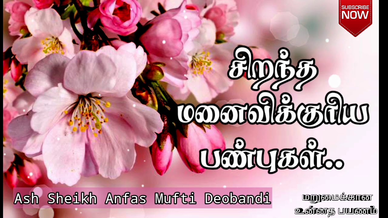 சிறந்த மனைவிக்குரிய பண்புகள் | Ash Sheikh Anfas Mufti Deobandi | Tamil Bayans
