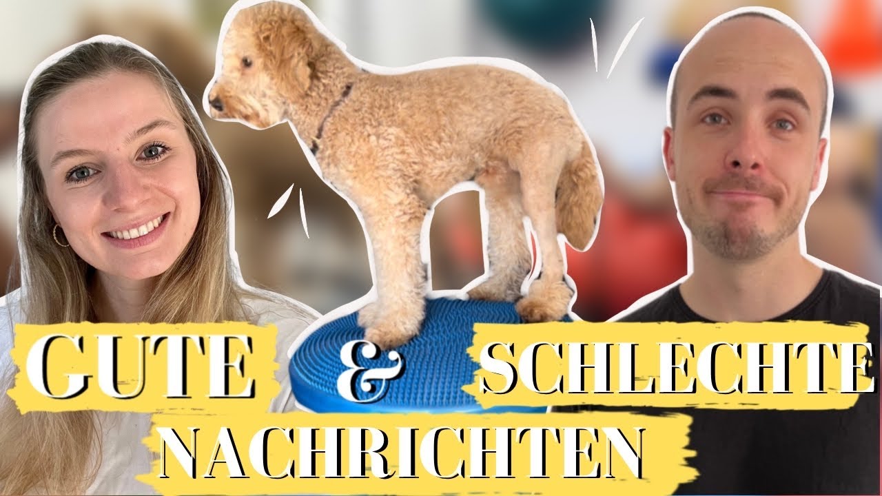 PHYSIO bestätigt DIAGNOSE vom TIERARZT I 1. Termin beim Hundephysiotherapeut nach Operation
