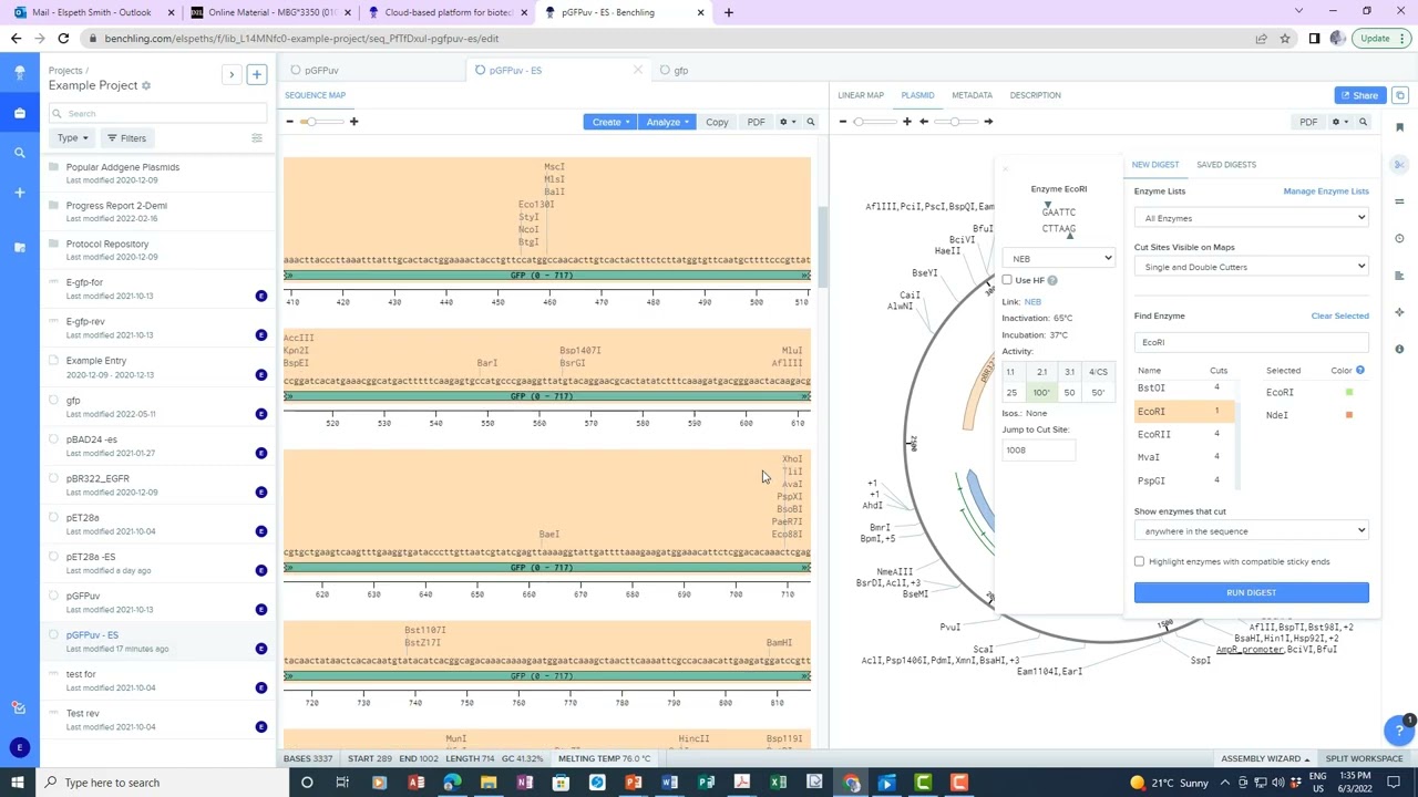 Adding primers to Benchling
