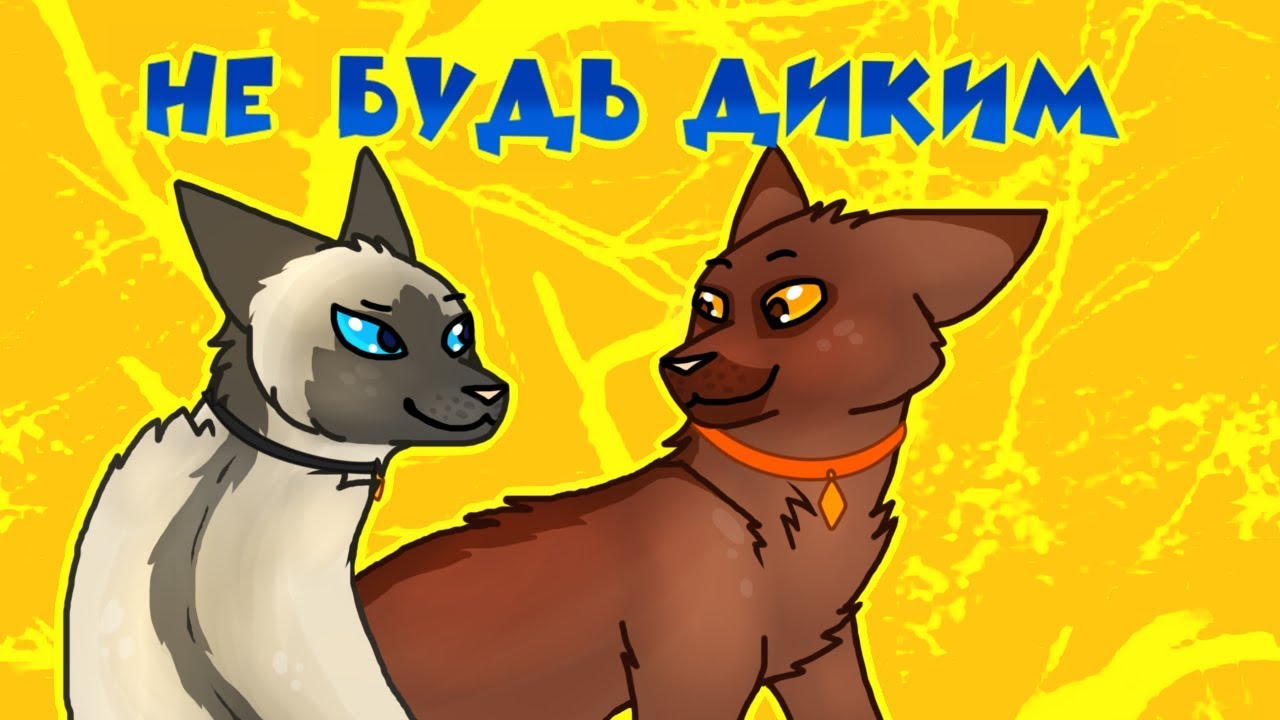 CatWar | Гайд | Как стать домашним