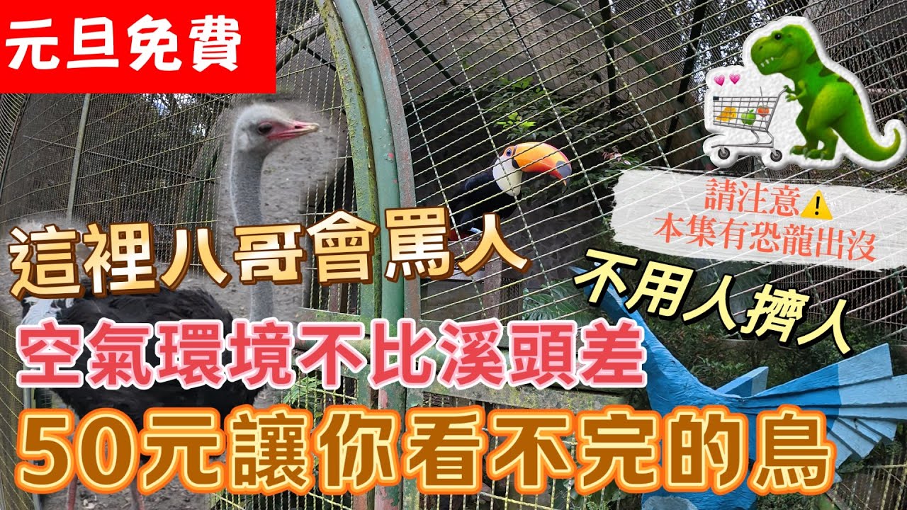 50元把鳥看光光 元旦當天還不用錢 6歲以下通通免費 來看像侏儸紀公園的巨大網籠 這麼好的地方居然還沒什麼人!? 空氣環境不比溪頭差!性價比超高 #東南亞最大鳥園 #國立自然科學博物館 #鳳凰谷鳥園