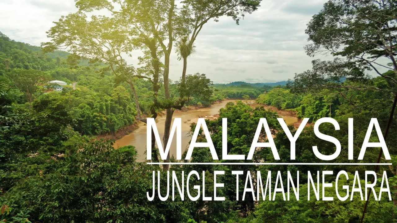 Taman Negara - Malaysia - Trip to National park