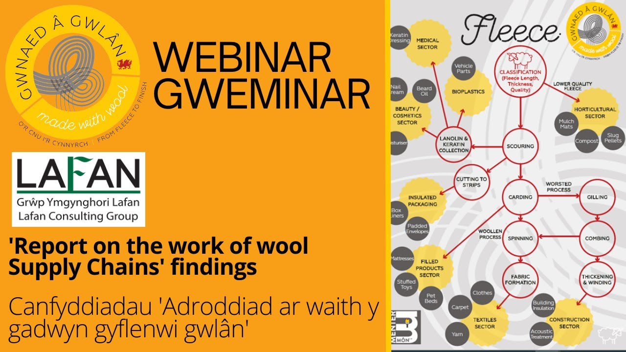 Canfyddiadau Adroddiad: Cadwyn Gyflenwi Gwlân / Report Findings: Wool Supply Chain