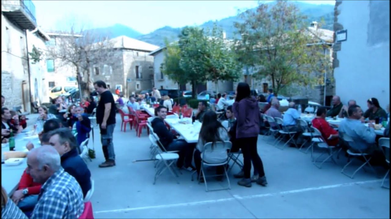 Jornadas micológicas año 2014