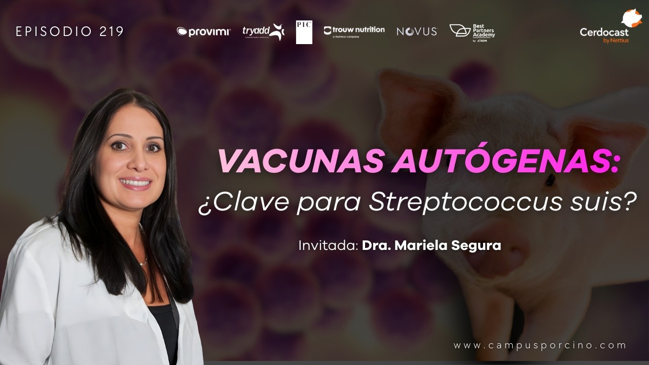 #219 - Streptococcus suis: Vacunación y prevención en la industria porcina -Dra. Mariela Segura