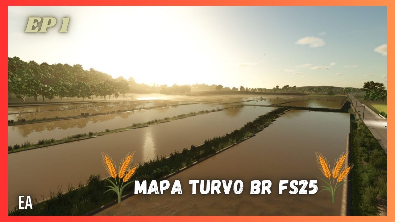 VIDA DE ARROZEIRO   # 1