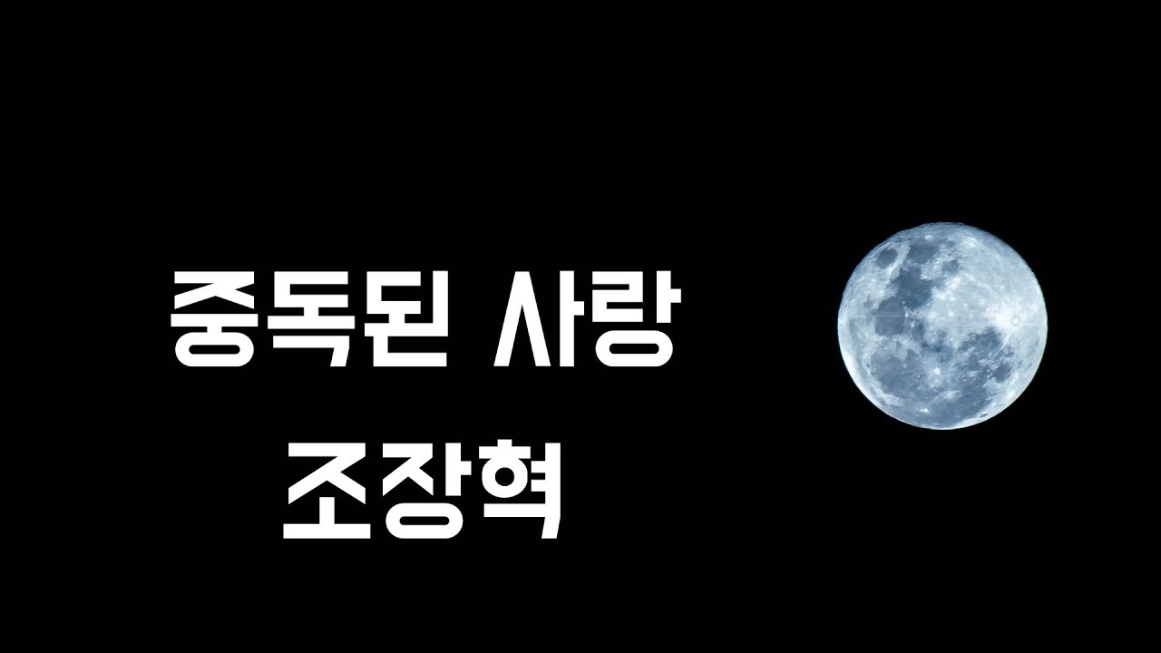 [연속 10번 듣기] 중독된 사랑 - 조장혁(2000, 가사포함)