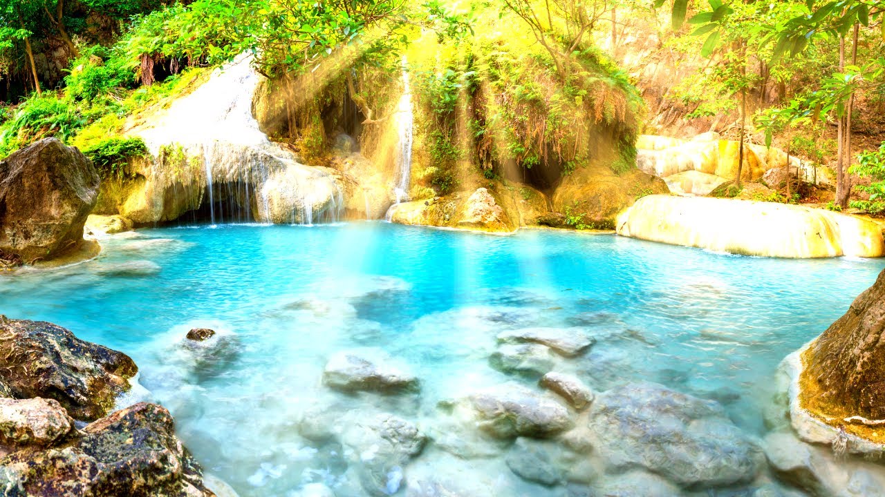 Deep Relaxation Therapy 🌿 Healing Music with Nature Sound, Relieve Stress | Nature Sound *42