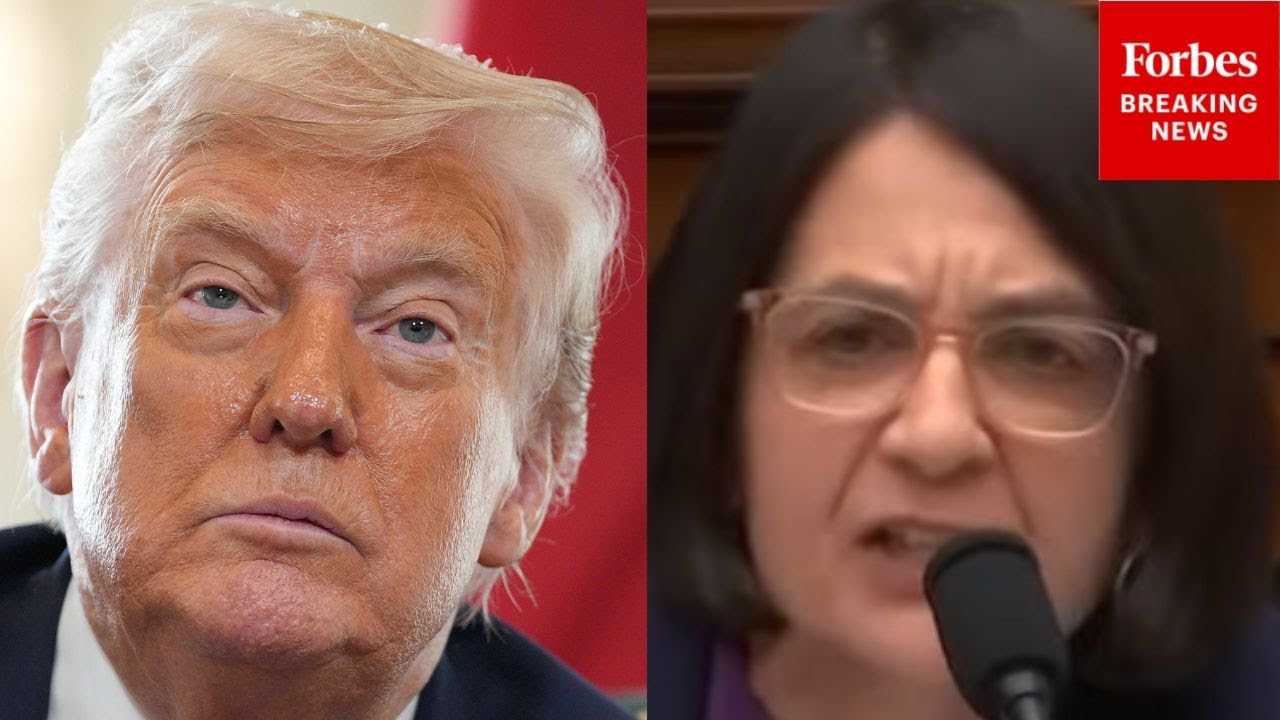 'Clear Violation Of Our Constitution': Balint Torches Trump's Proposal To Nationalize Elections