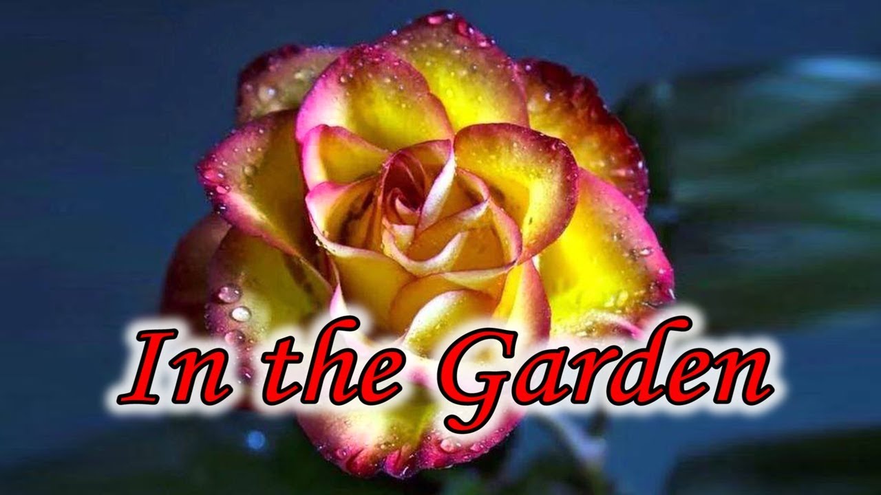 In the Garden - an old time gospel favorite by Bird Youmans