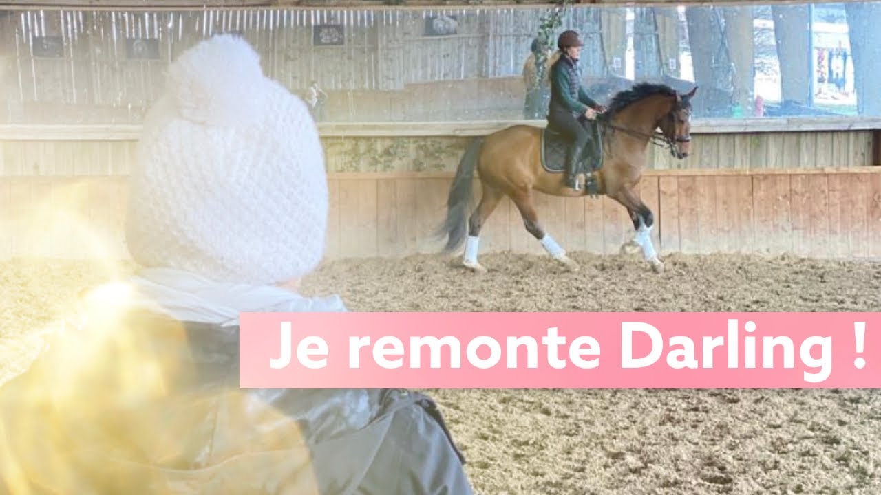 JE CONTINUE D'APPRENDRE LE DRESSAGE AVEC UNE JUMENT DE HAUT NIVEAU !