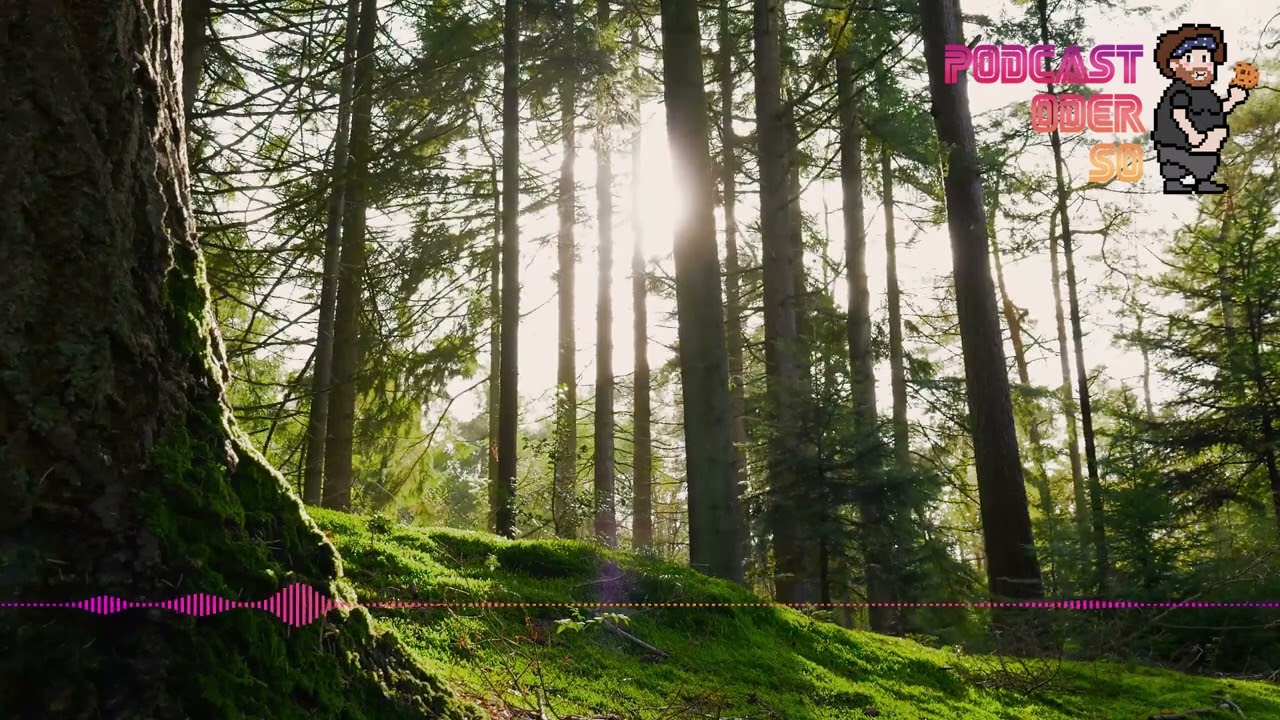 [Drachenlord] [Demon] Podcast oder so - Wie wird es weitergehen? (feat. Cookie)