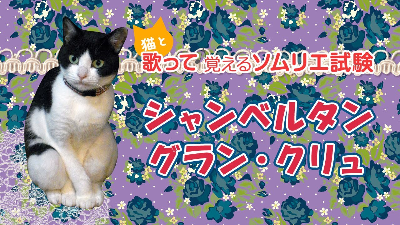 【シャンベルタン グラン・クリュ】猫と歌って♪覚えるソムリエ試験