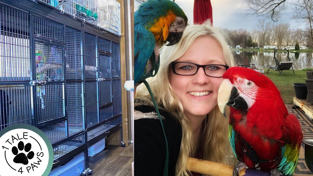 CAMPING WITH PARROTS | RV Tour Update with Bird Cages