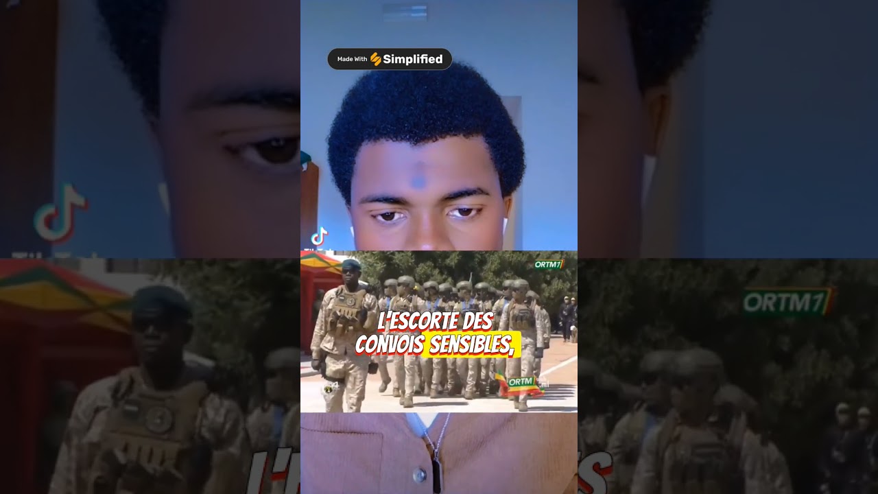 La comparaison de l'arm&eacute;e malienne et l'arm&eacute;e ivoirienne mettez-vous aviez dans le commentaire