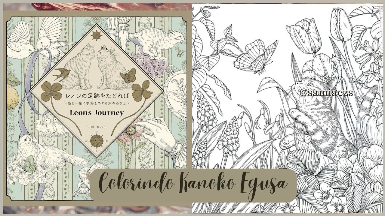 Colorindo Leon's Jouney - Kanoko Egusa