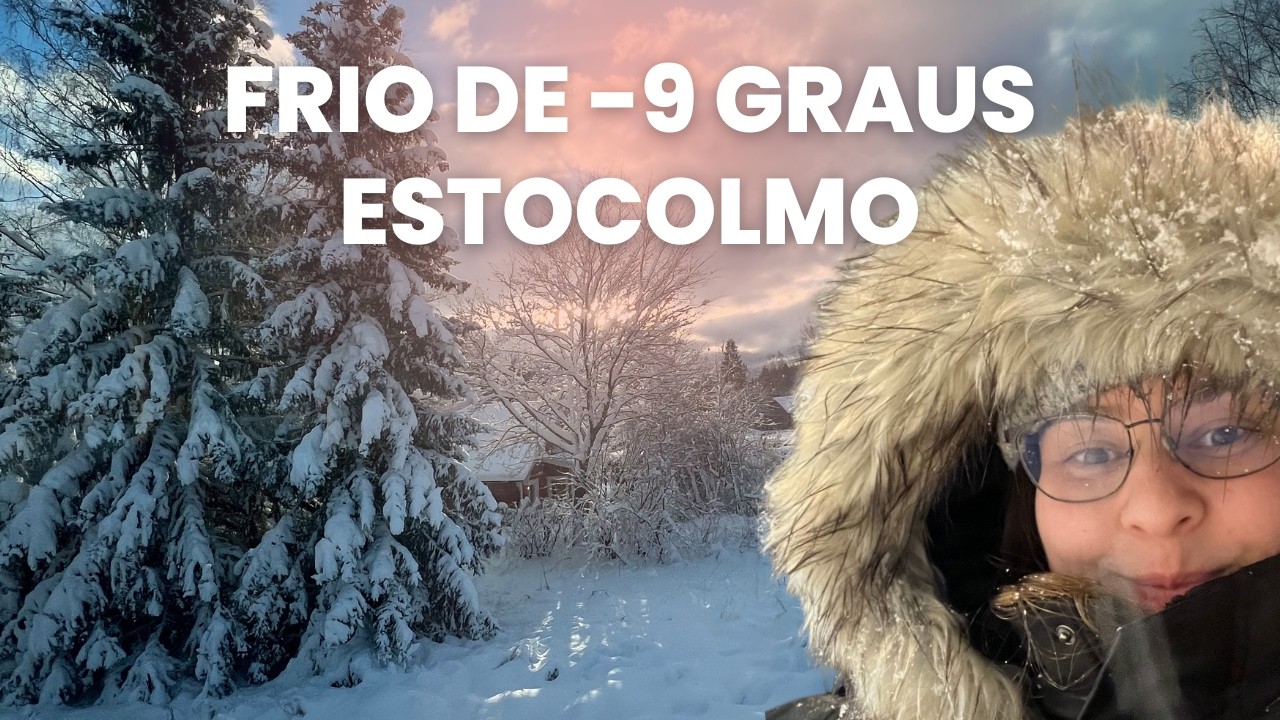 COMO É IR AO MERCADO A PÉ APÓS UMA NEVASCA EM ESTOCOLMO? -9 °C