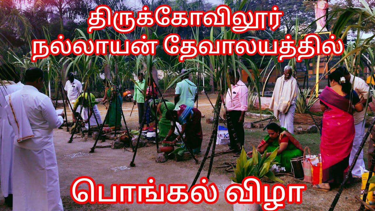 Good Shepherd's Mission@Thirukoilur திருக்கோவிலூர் நல்லாயன் ஆலயம்  பொங்கல் விழா சிறப்பு நிகழ்ச்சி