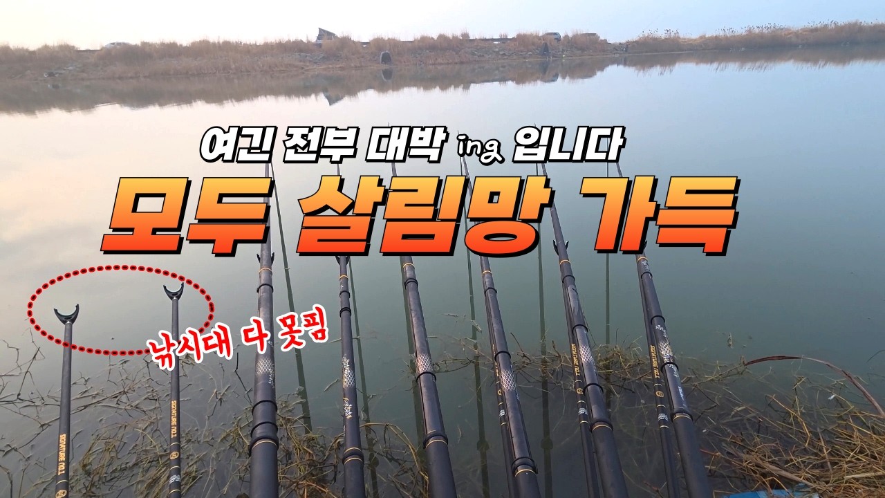 여기 난리가 났습니다 // 감당할수 없을 정도로 나와버리는// 낚시대4대만 펴십시요 죽을수도 있습니다#붕어낚시 #fishing