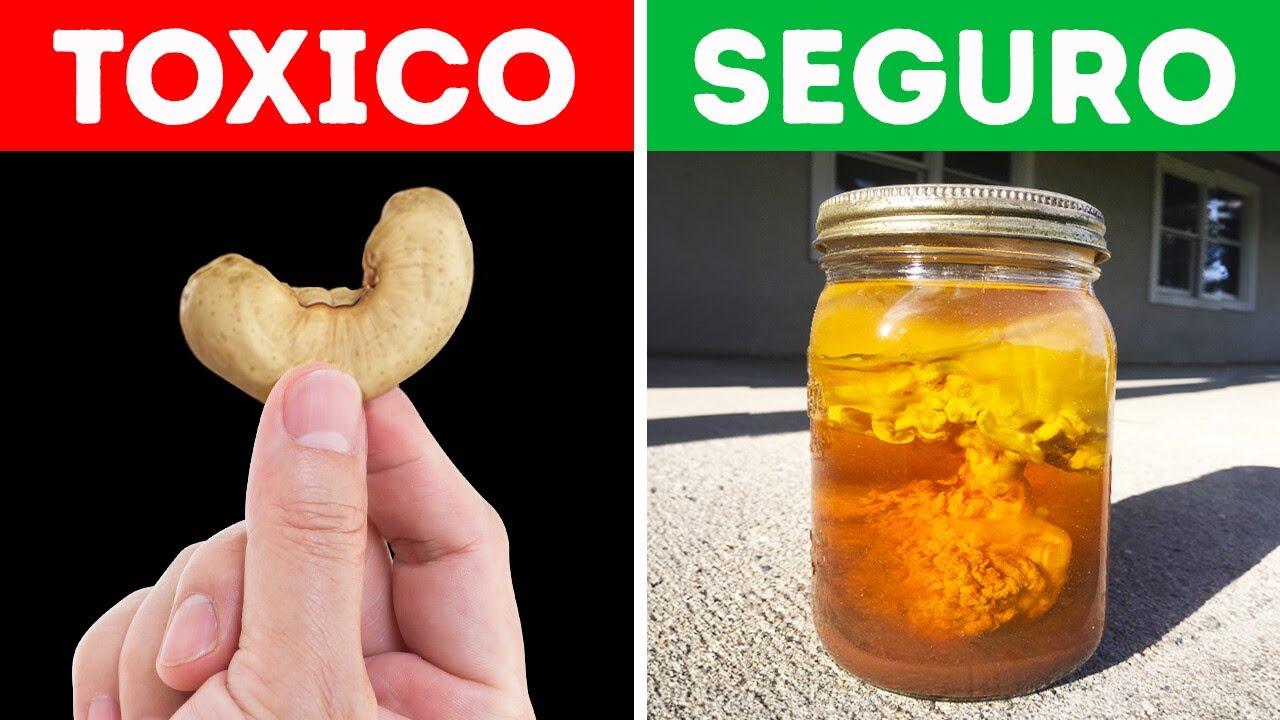 100 Cosas Prohibidas en Todo el Mundo que te Dejarán Atónito!