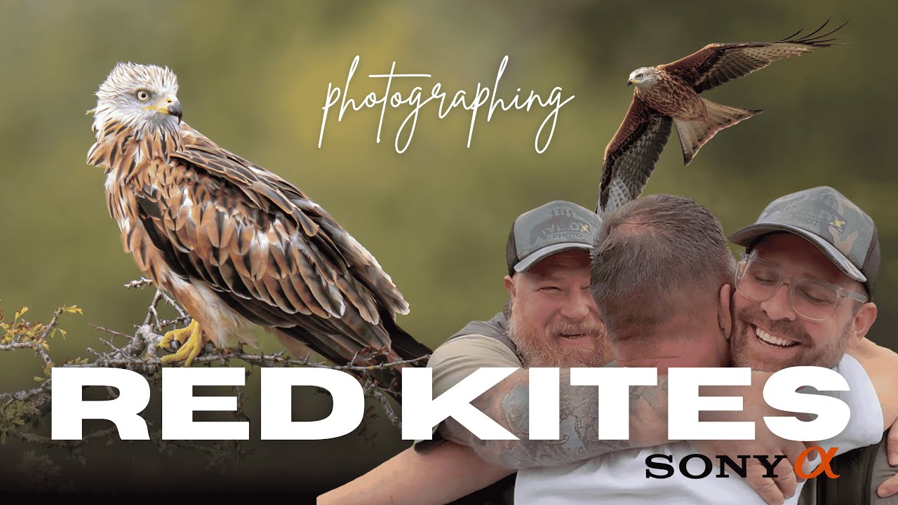 EPIC Red Kites with the WILDX boys || Sony A1