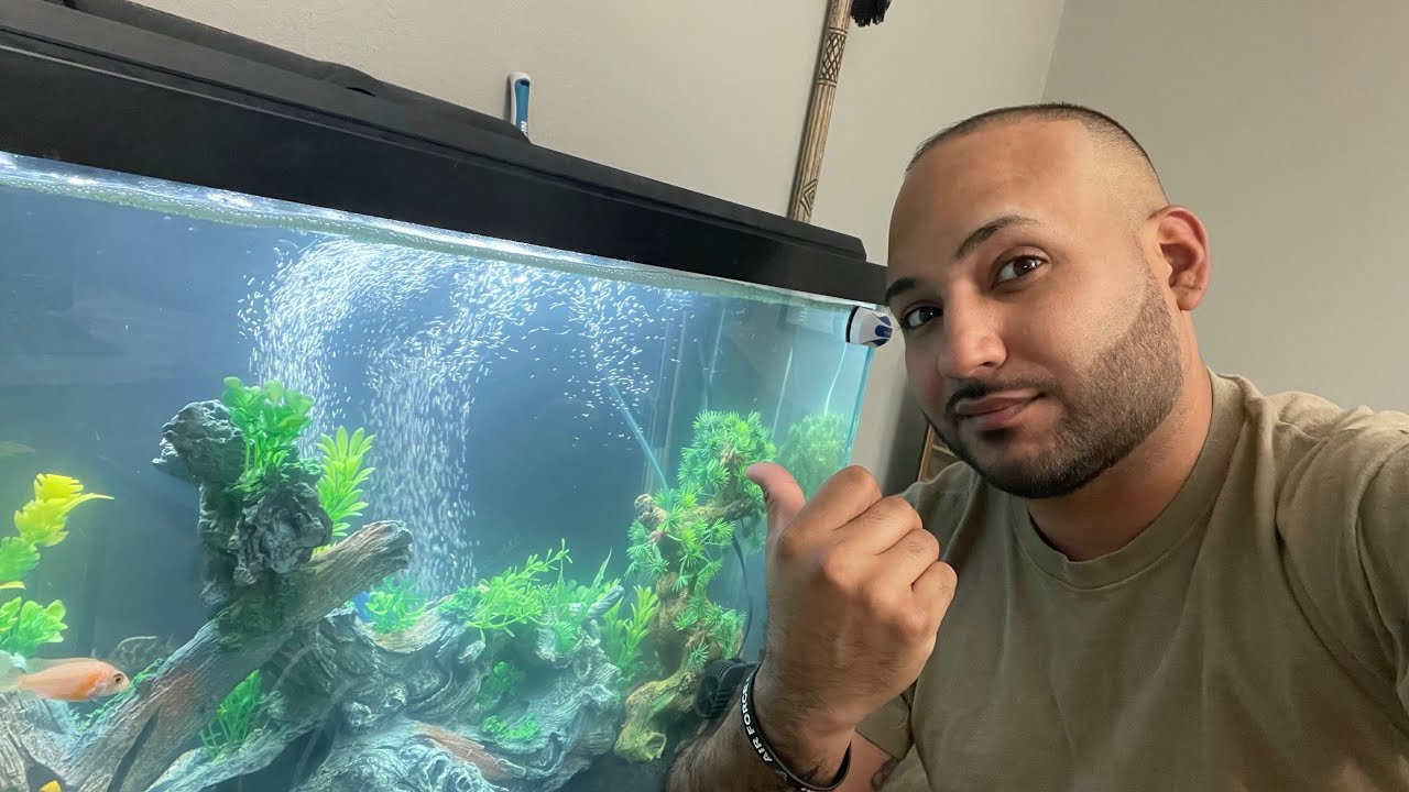 Fish Unboxing | Imperial Tropicals