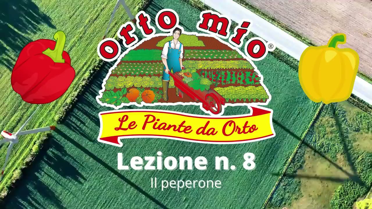 Video lezione Orto Mio n.8 - I SEGRETI DEL PEPERONE