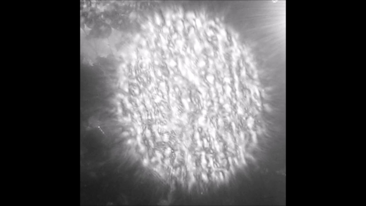 planet uterus - weltenbr&auml;nde