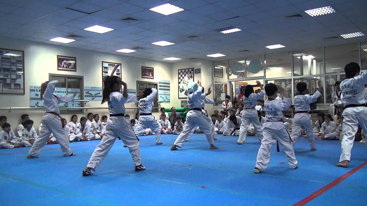Taekwondo Demonstration - Music poomsae
