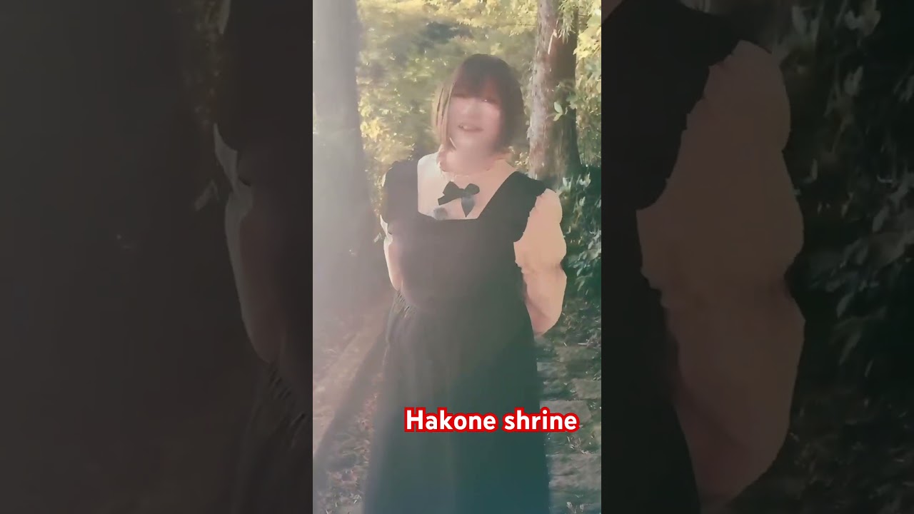 Good walking area nearby peace Torii at Hakone shrine