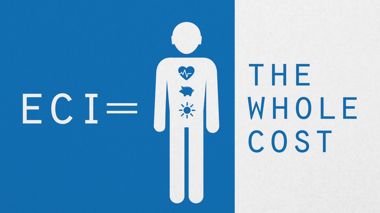 What Is the ECI?