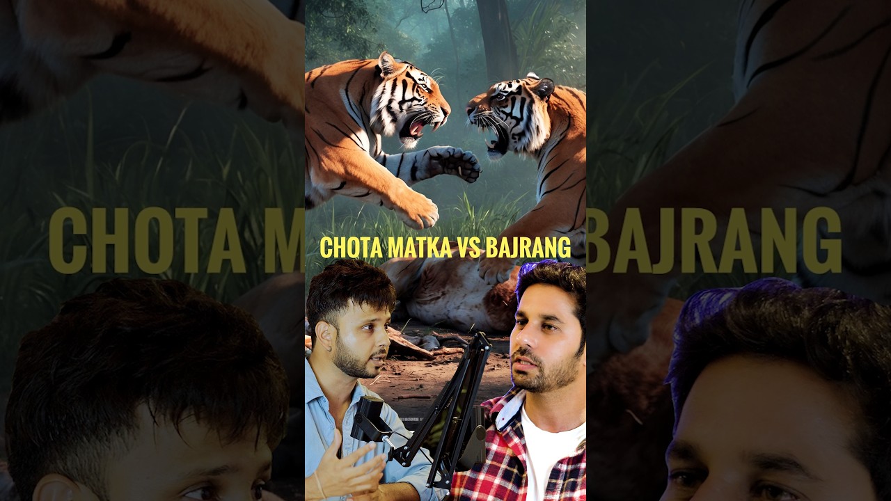 🐅Chota Matka Vs Bajrang 🐅 | Bloodline of Tadoba