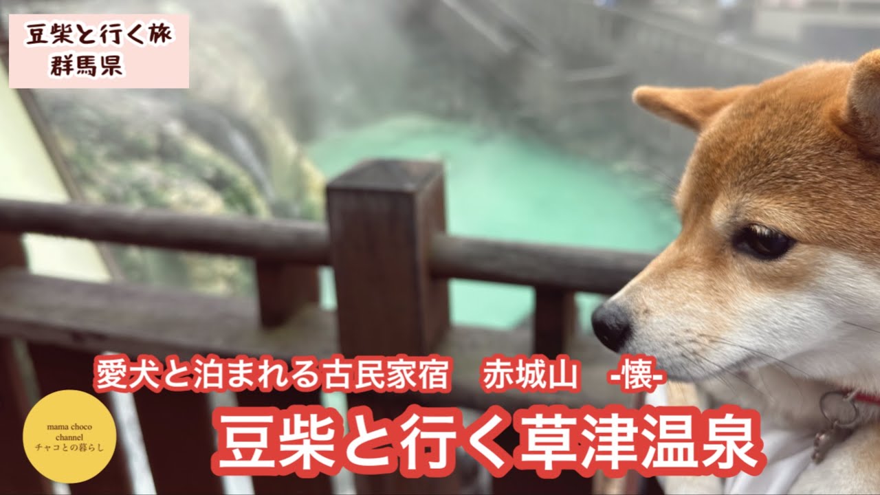 【豆柴と群馬旅】赤城山　懐　・草津温泉