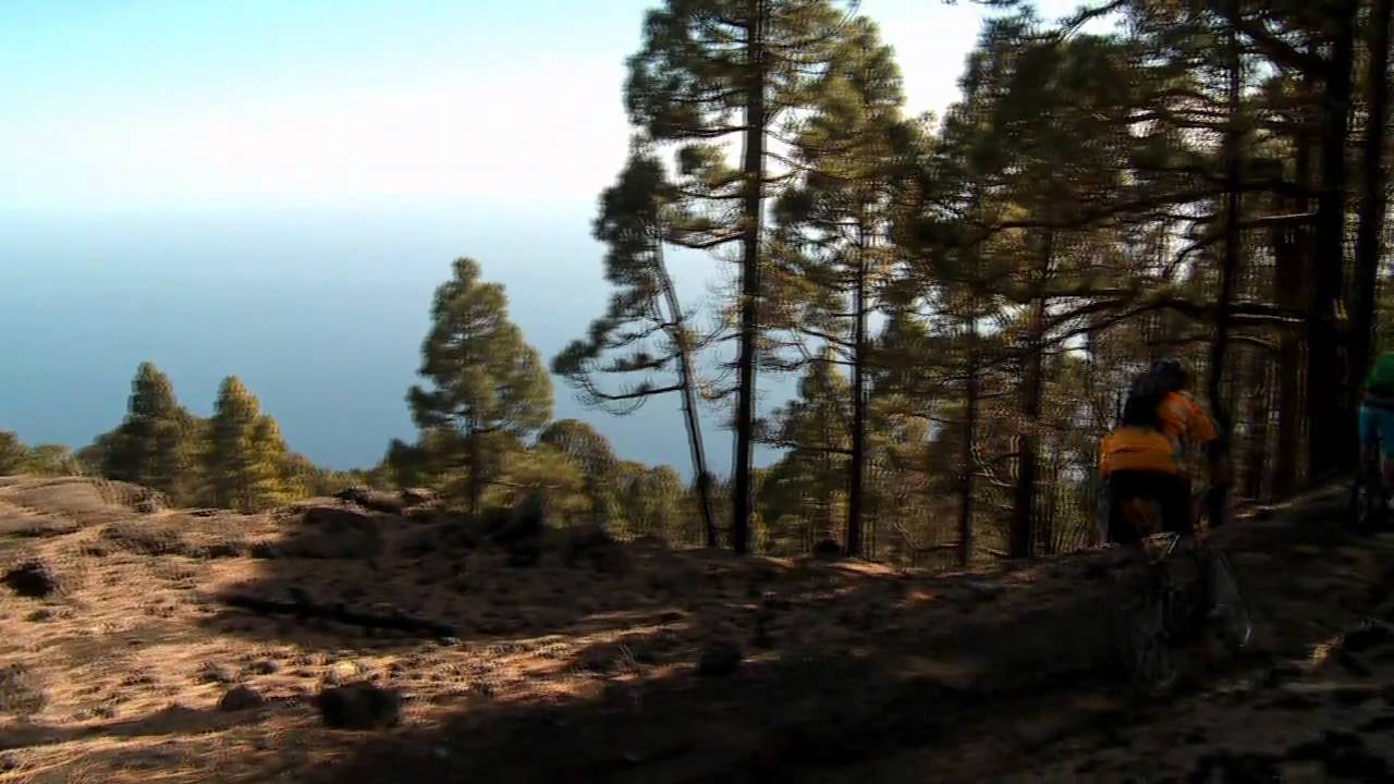 Trailfox. The ultimate trail riding experience.