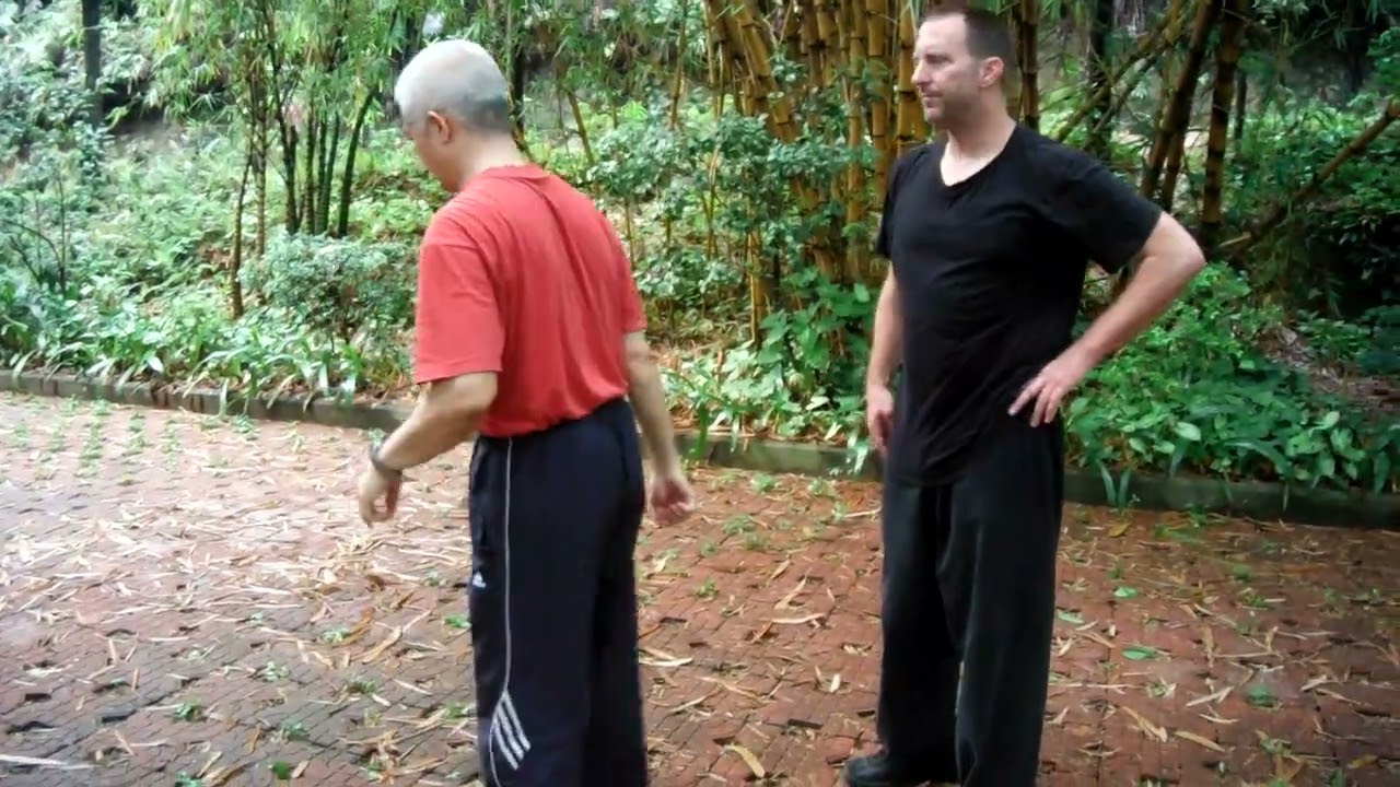 Tai Chi 24 Form lesson in China