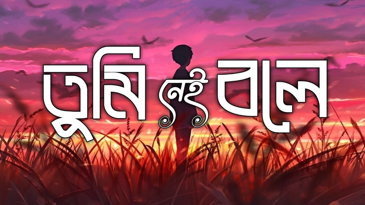 Bangla new sad song (তুমি নেই বলে) bangla new lofi music 
