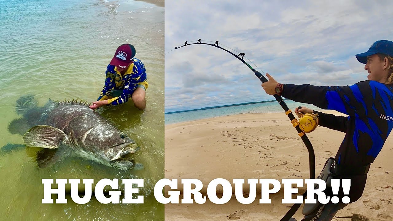 HUGE GROUPER ATE THE BAIT AT OUR FEET!! Epic Shark Fishing In Remote Arnhem Land!