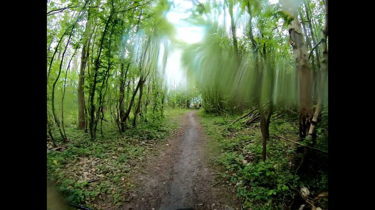 Sortie pluvieuse et boueuse dans la forêt domaniale de Nieppe