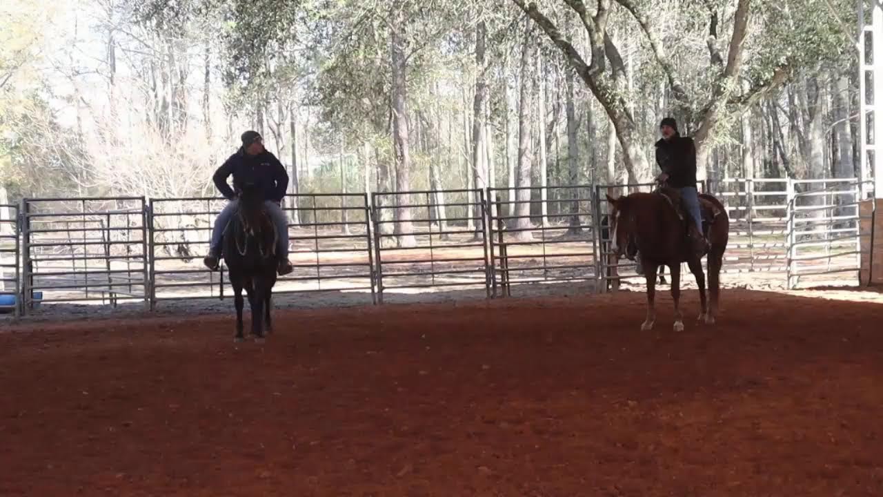 What is it like to ride an advanced horse