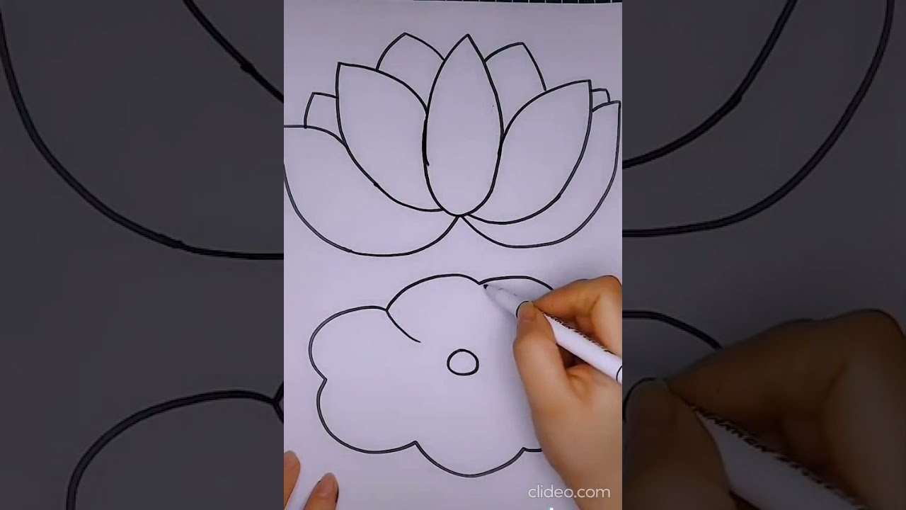 How To Draw Lotus Flower #lotusdrawing