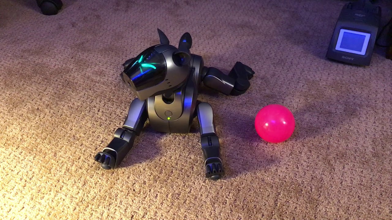 Sony AIBO - A Bunch of Cute Clips!
