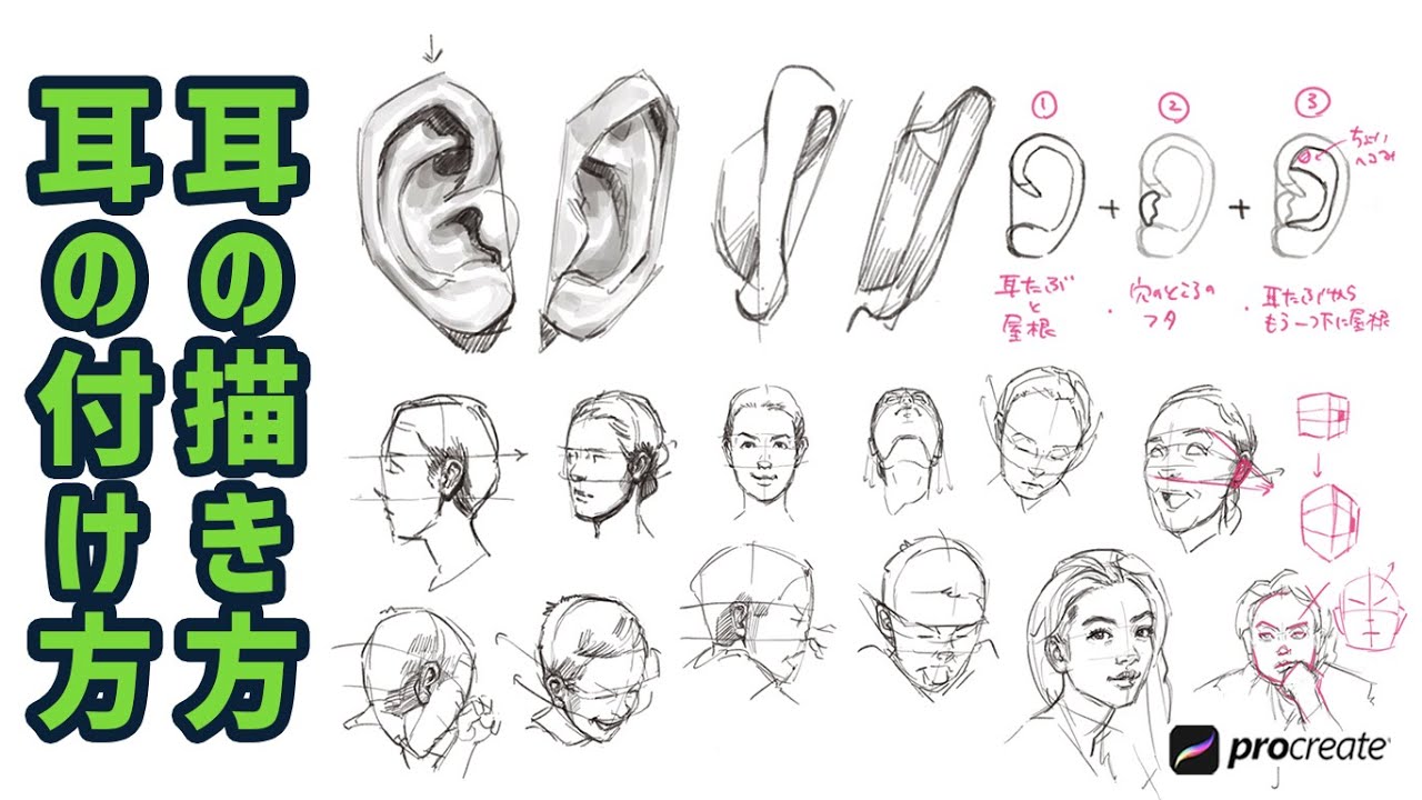 【人物画】耳の描き方（ 耳の書き方 ）  / イラスト上達 / 絵が上手くなる /絵の描き方
