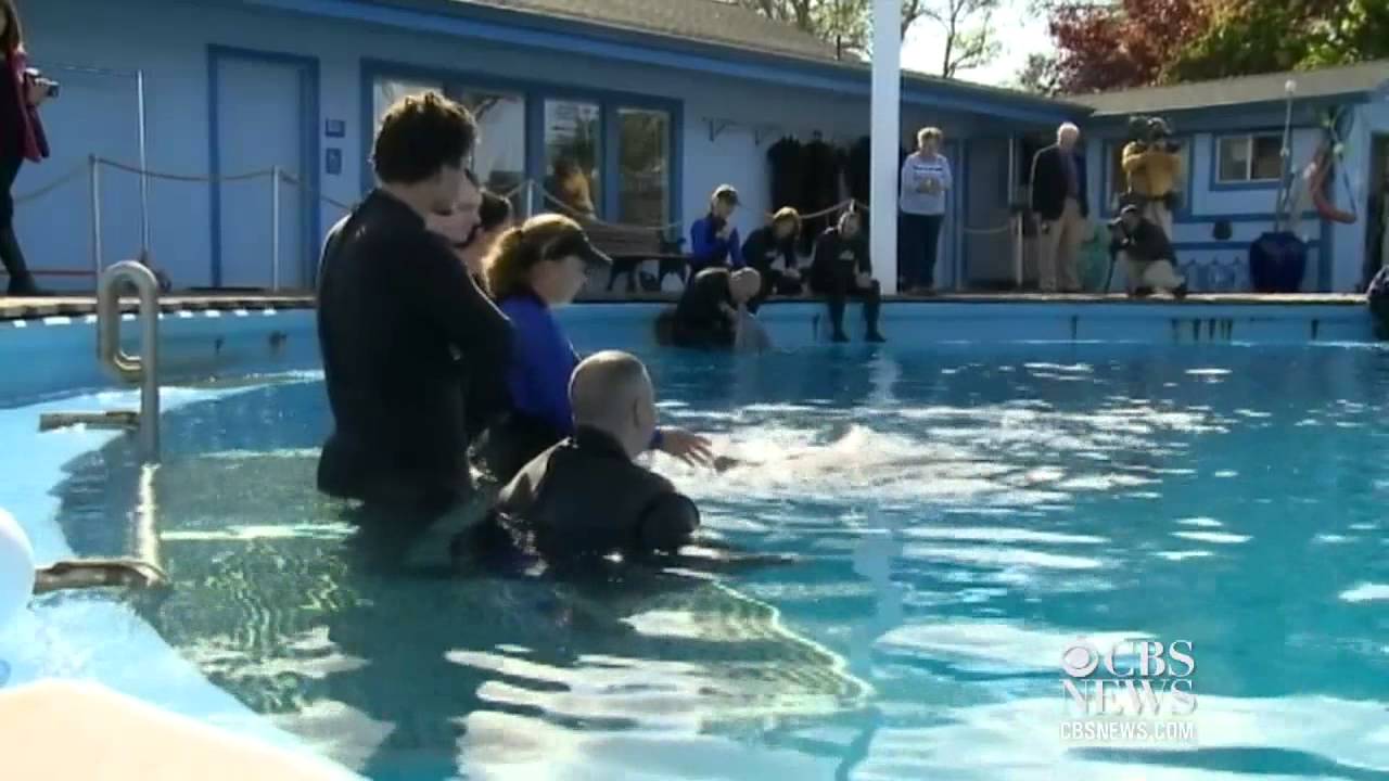 Dolphins help veterans with healing process