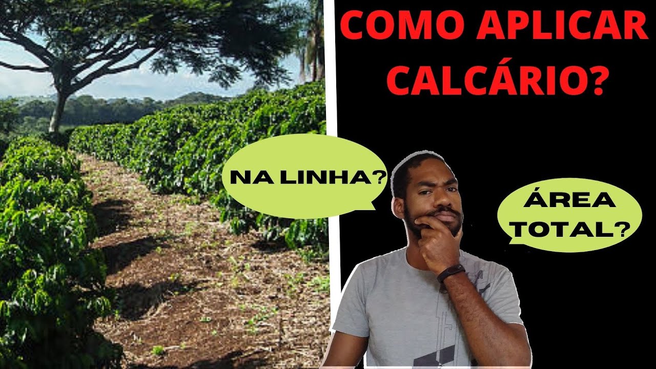 ONDE APLICAR O CALCÁRIO NO CAFÉ?