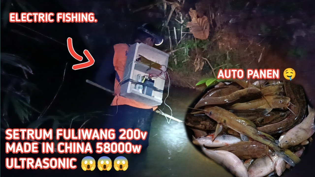 PERDANA ‼️ Nyetrum ikan menggunakan mesin cina FULIWANG  ULTRASONIC // ELECTRIC FISHING .‼️