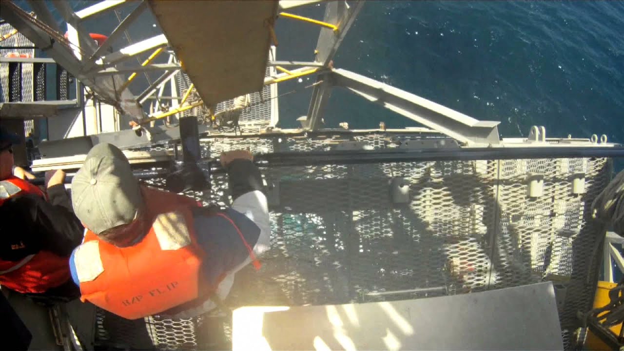 This ship FLIPs!
