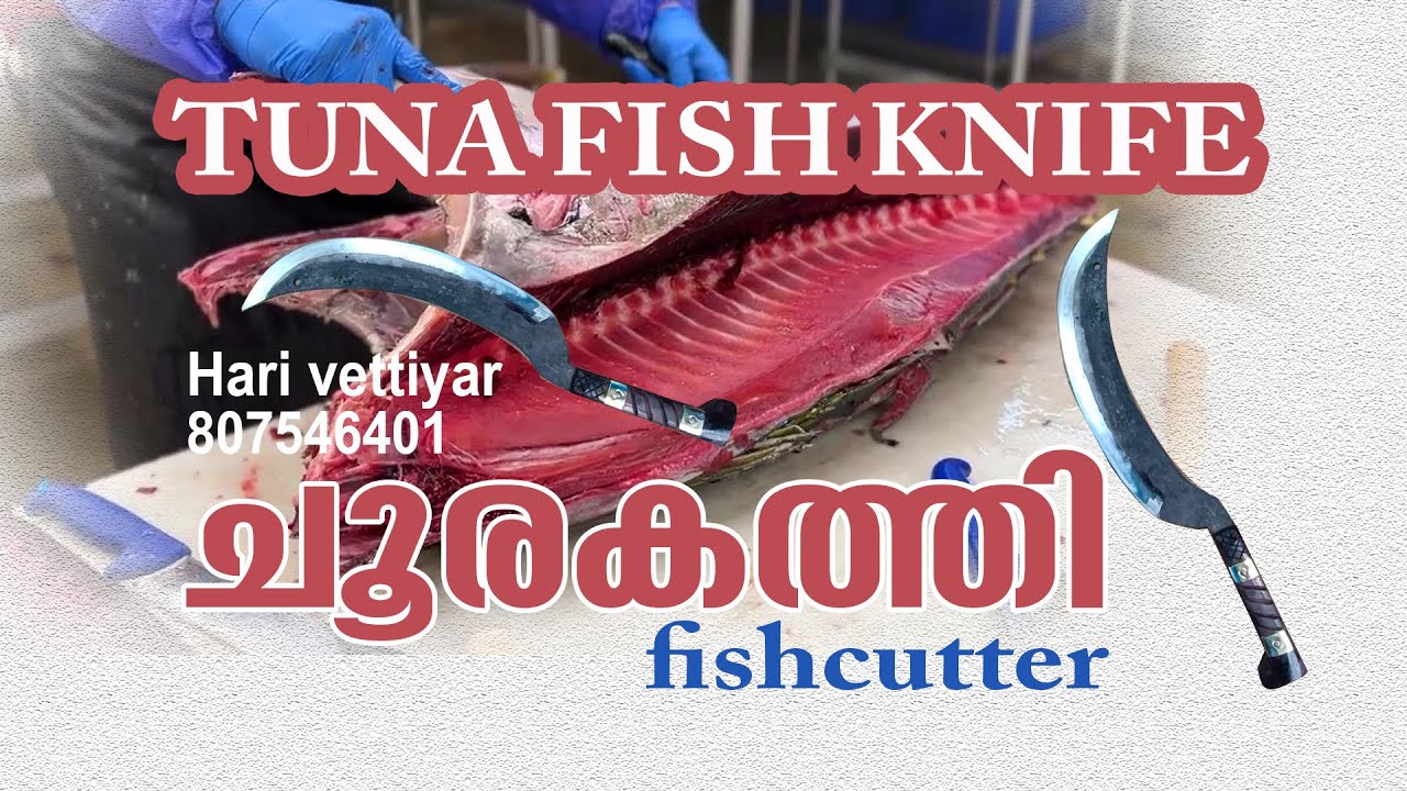 TUNA FISH CUTTING Knife  ചൂര
