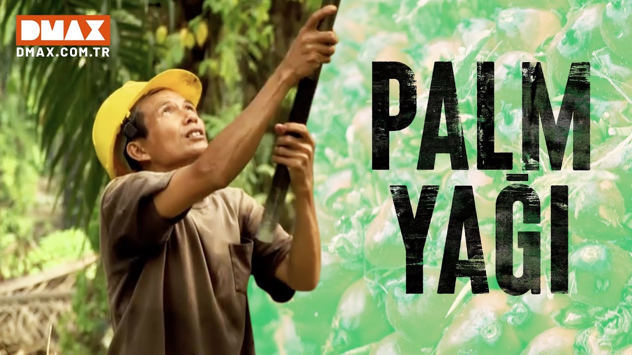 Palm Yağı Nasıl Yapılır?