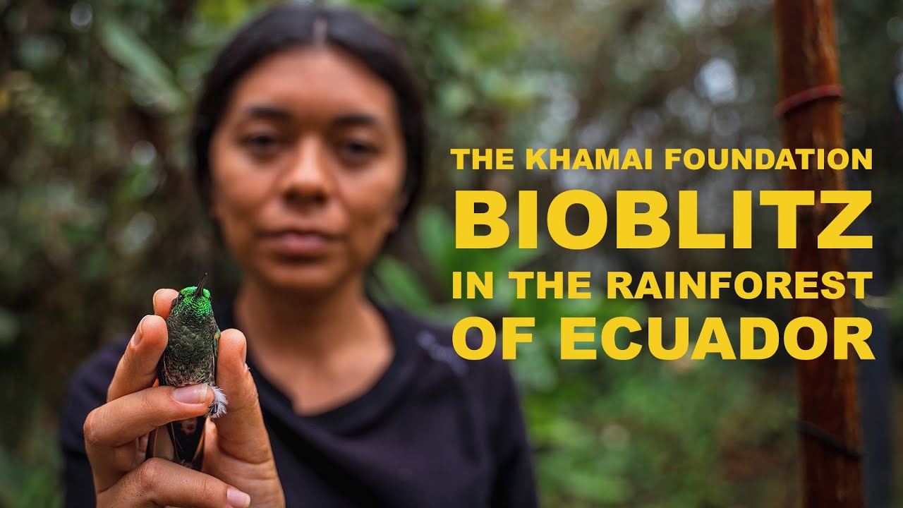 The Khamai Foundation BioBlitz