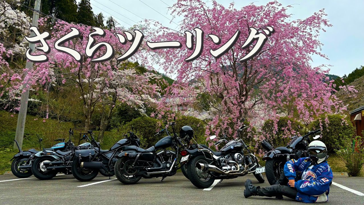 ハーレー女子３人とお花見ツーリング/SOLTO
